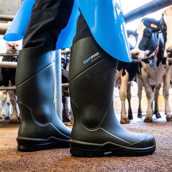 Noramax Summer Rubber Boot