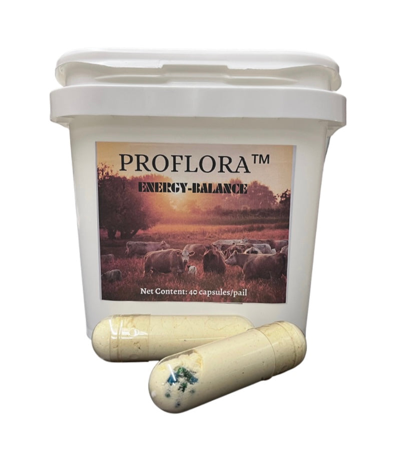 ProFlora - Cattle ENERGY Capsule – Armour Ag Supply Ltd.